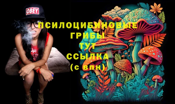 МДМА Арсеньев