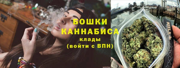 ПСИЛОЦИБИНОВЫЕ ГРИБЫ Аркадак